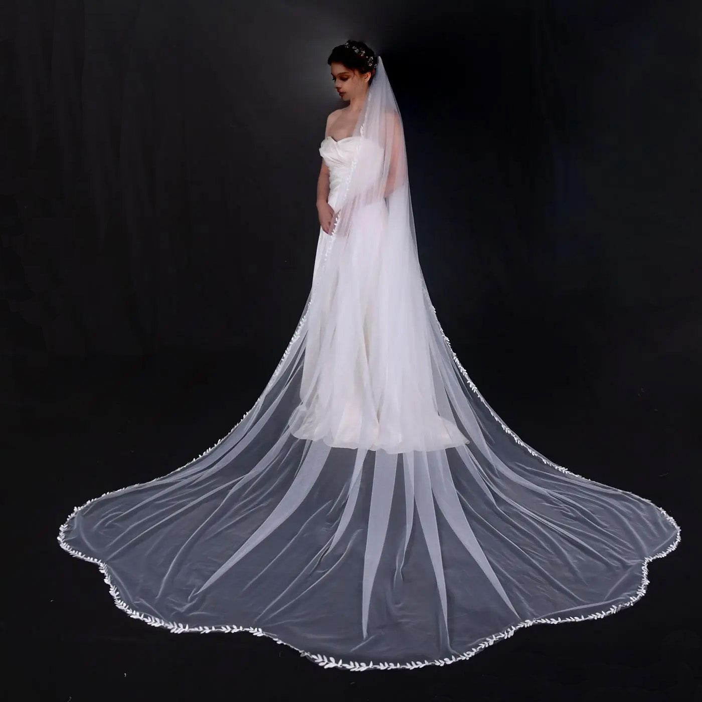 V-3031 Cathedral Length Veil with Scalloped Edge and Lace Trim